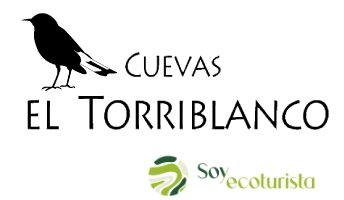 cuevas torriblanco destac WEB 1 344x200 - Cuevas el Torriblanco - Geoparque de Granada