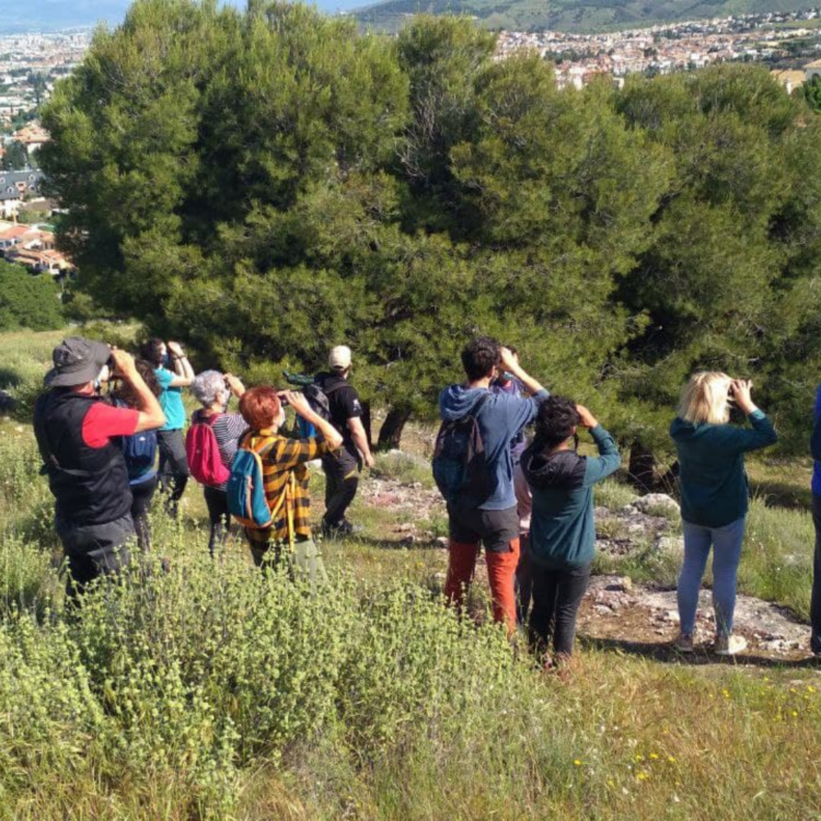 26 750x750 - Darwin Eventur - Geoparque de Granada